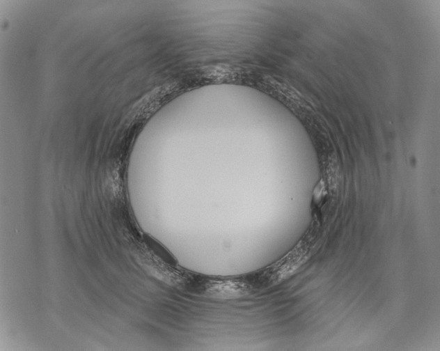 X0000071770611200607282215