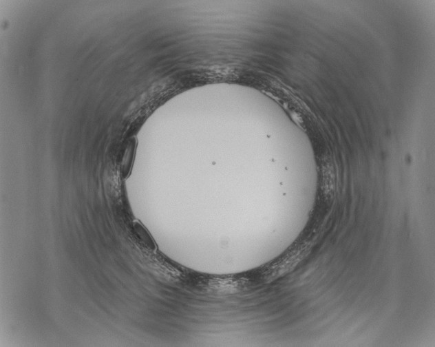 X0000071770613200607282215