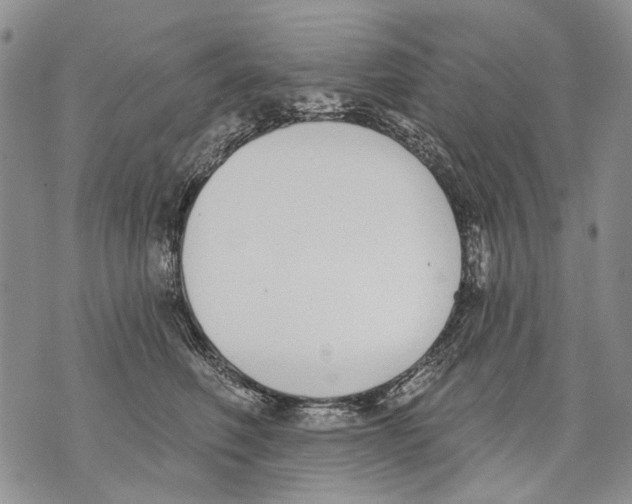 X0000071770614200607282215