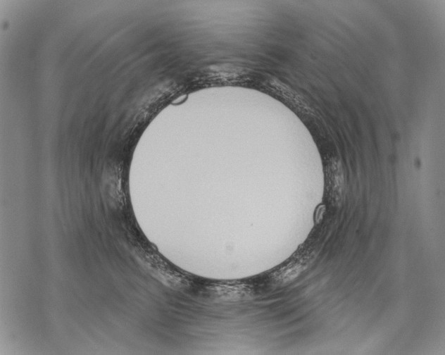 X0000071770615200607282215