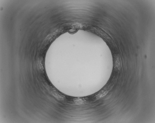 X0000071770616200607282215