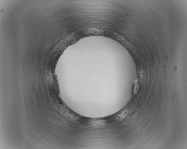 X0000071770617200607282215