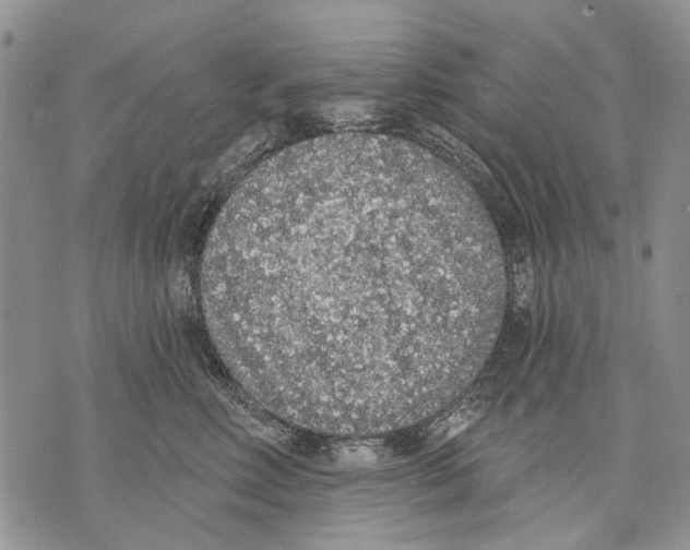 X0000071770618200607282215