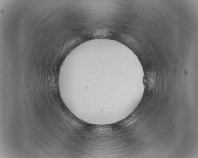 X0000071770619200607282215