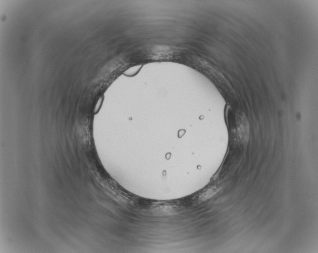 X0000071770620200607282215