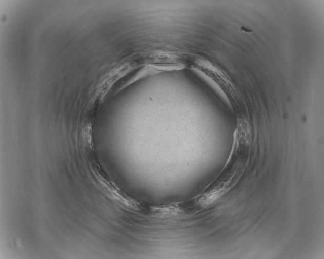 X0000071770621200607282215