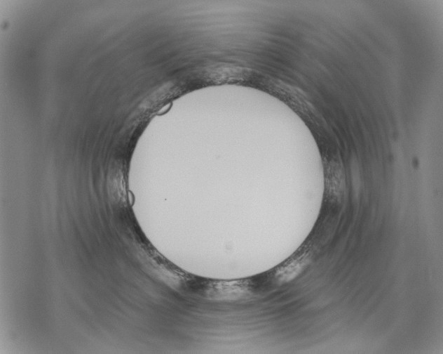 X0000071770622200607282215