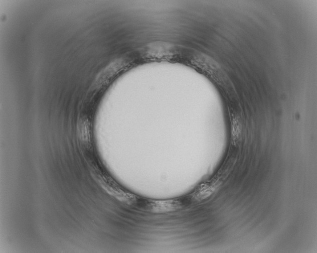 X0000071770623200607282214