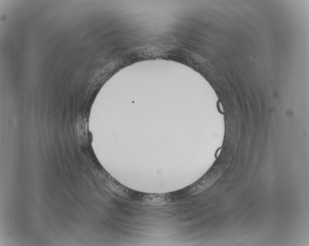 X0000071770624200607282214