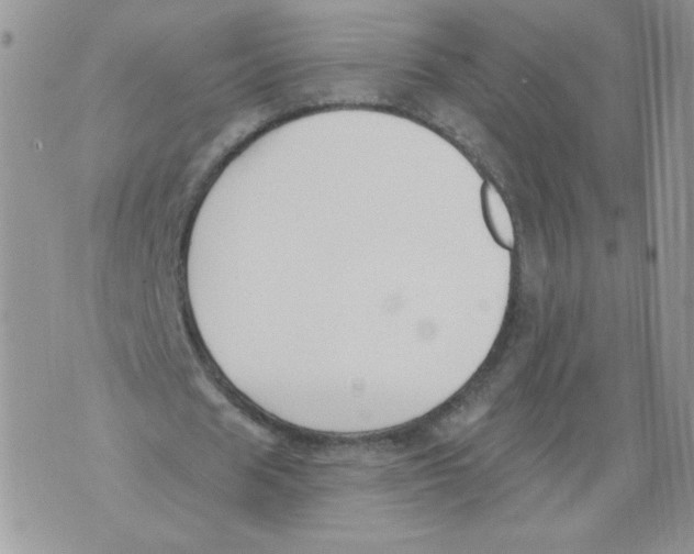 X0000071770625200607282214