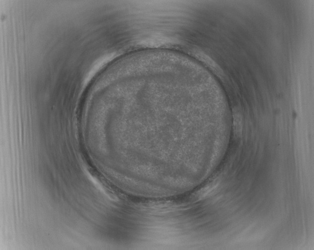 X0000071770626200607282214