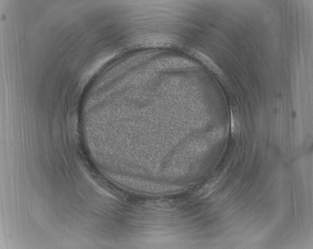 X0000071770627200607282214