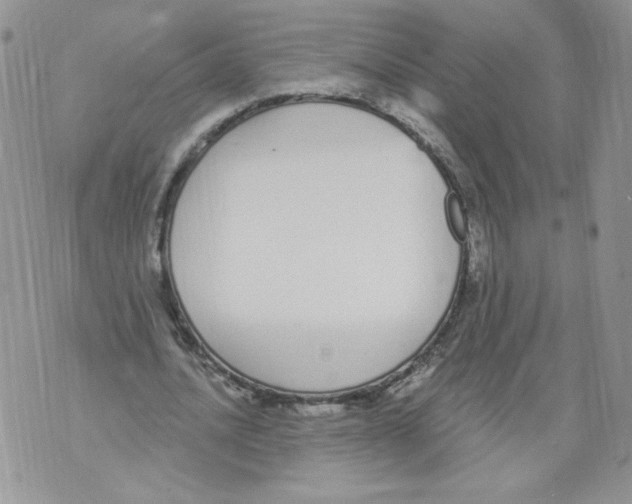 X0000071770628200607282214