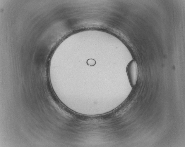 X0000071770629200607282214