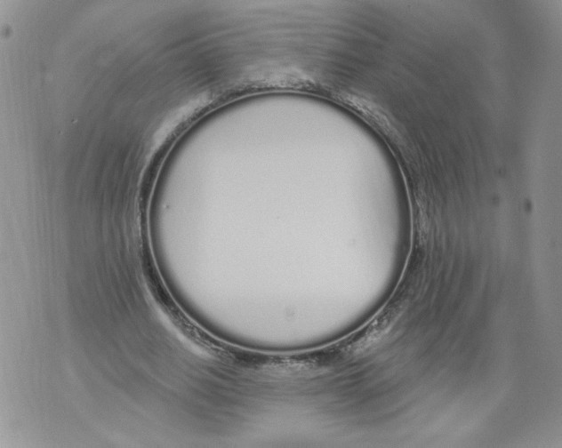 X0000071770630200607282214