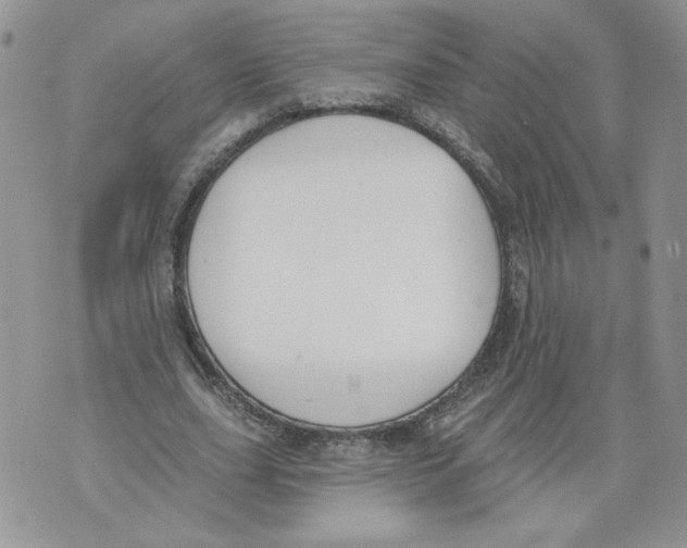 X0000071770631200607282214