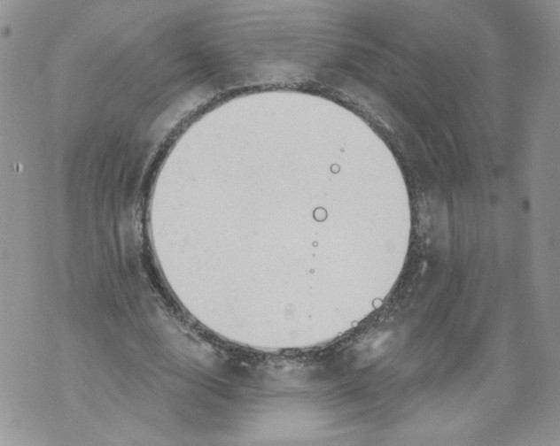 X0000071770632200607282214