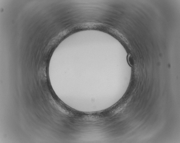 X0000071770633200607282214