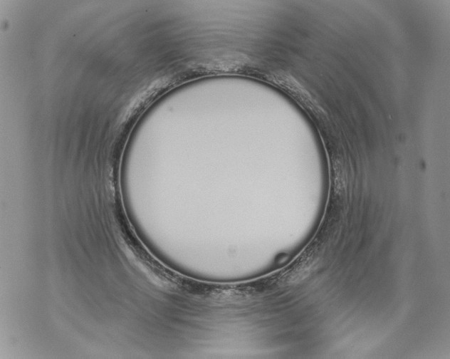 X0000071770634200607282214