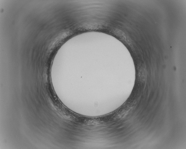 X0000071770635200607282214