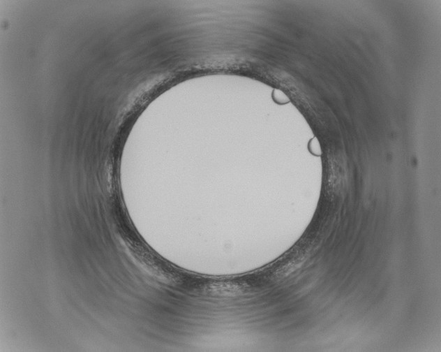 X0000071770636200607282214