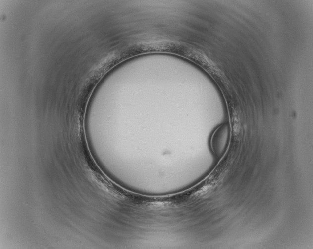 X0000071770637200607282214