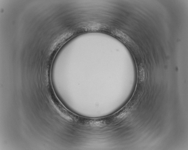 X0000071770638200607282214