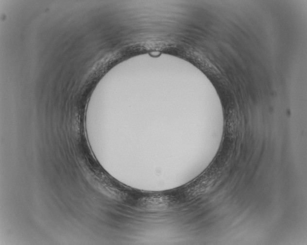 X0000071770639200607282214