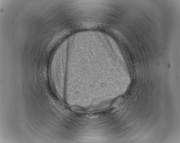 X0000071770640200607282214