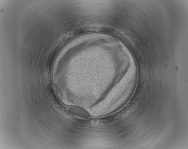 X0000071770641200607282214