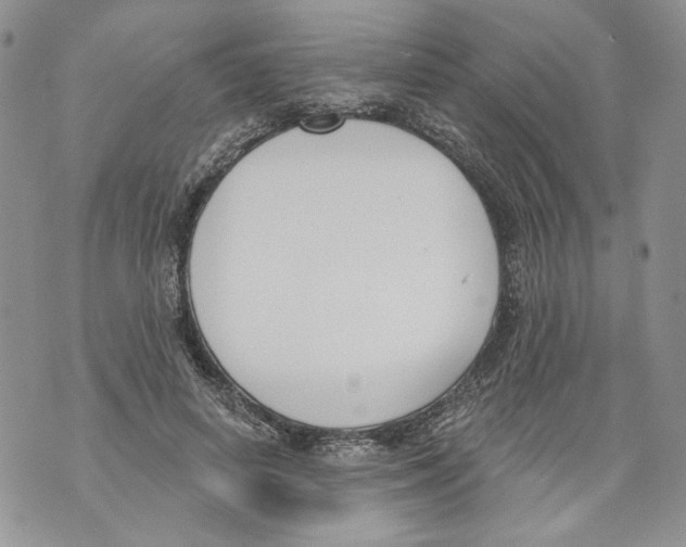 X0000071770642200607282214