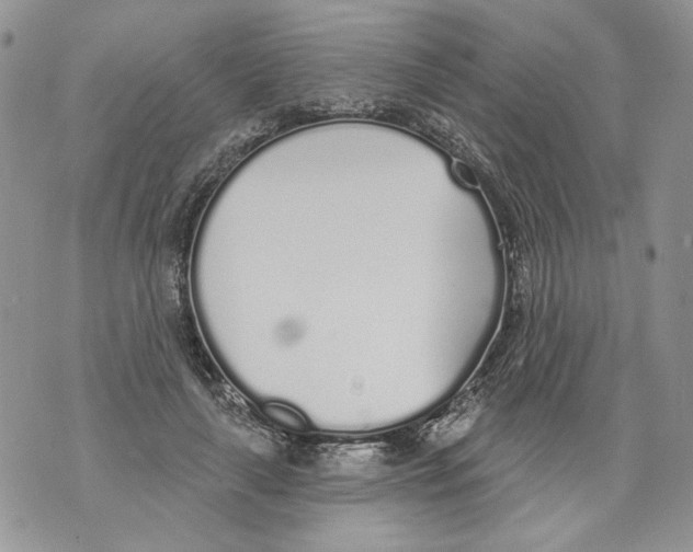 X0000071770643200607282214