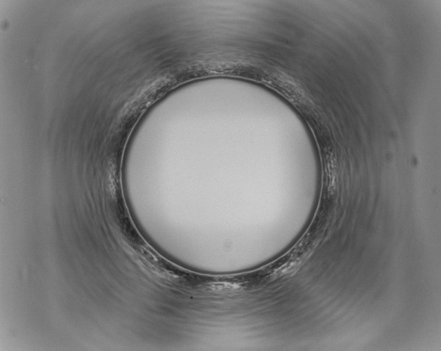 X0000071770644200607282214