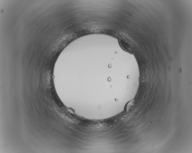 X0000071770646200607282214