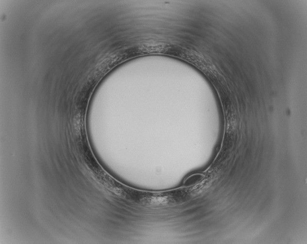 X0000071770647200607282214