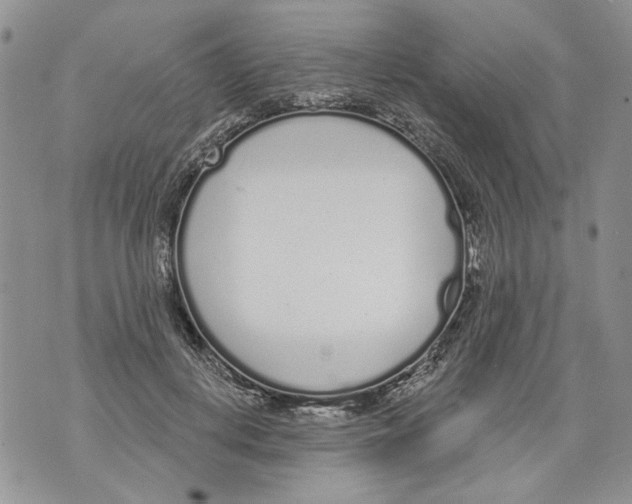 X0000071770648200607282214