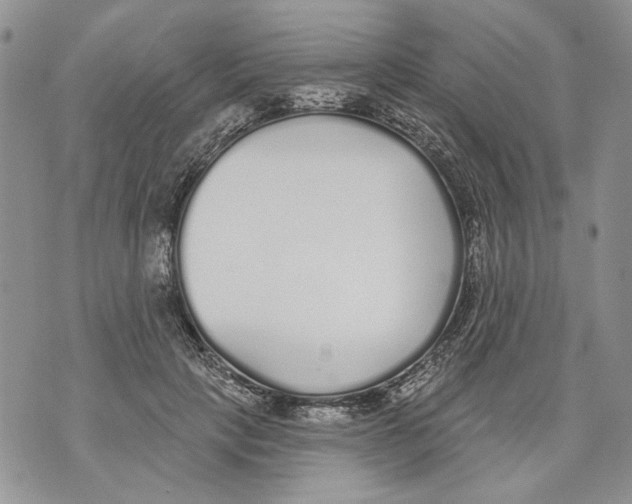 X0000071770649200607282214