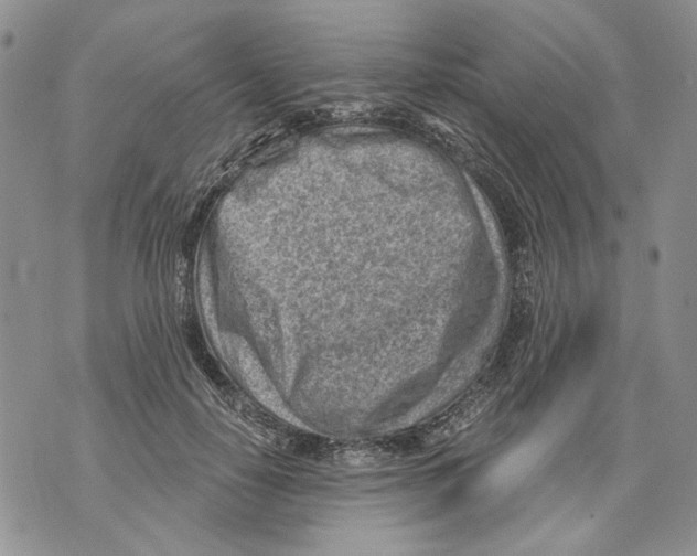 X0000071770650200607282214