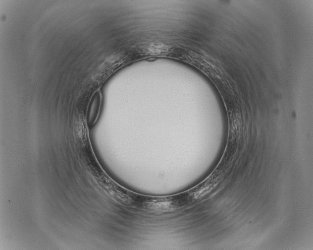 X0000071770651200607282214