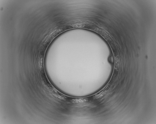 X0000071770652200607282214