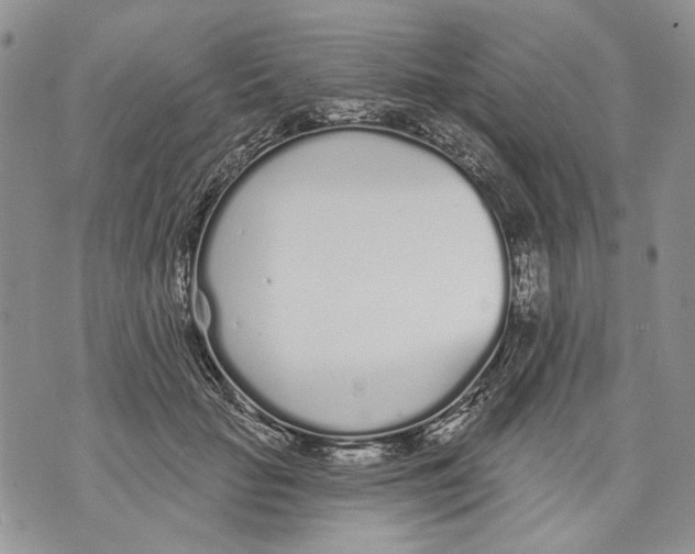 X0000071770653200607282214