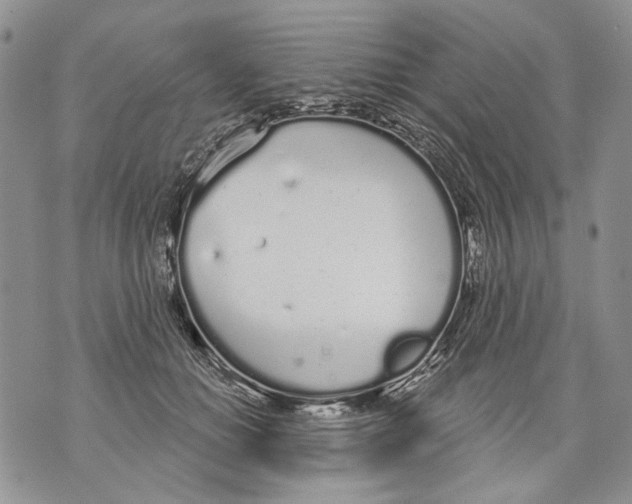 X0000071770654200607282214