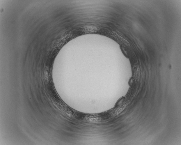 X0000071770655200607282214