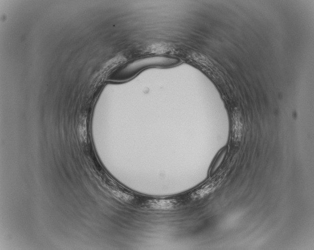 X0000071770656200607282214