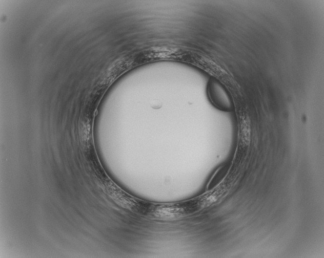 X0000071770657200607282214