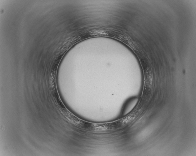 X0000071770658200607282214