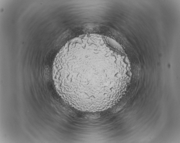 X0000071770659200607282214