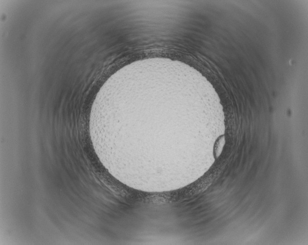 X0000071770660200607282214