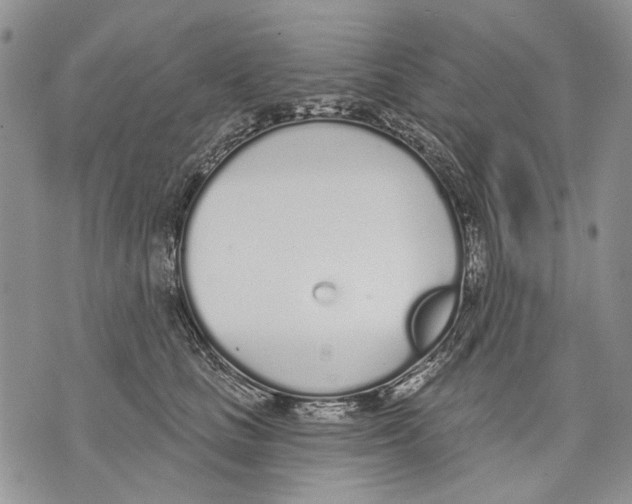 X0000071770661200607282214