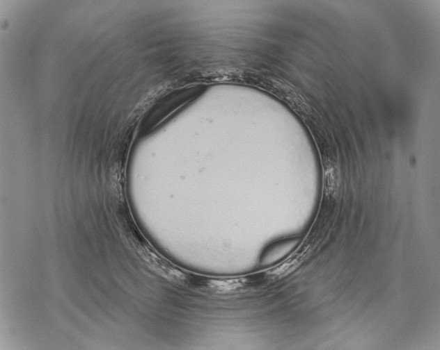 X0000071770662200607282214